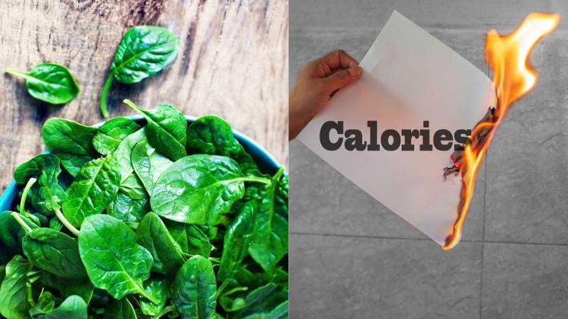 Cải bó xôi bao nhiêu calo? Có tốt không? 2