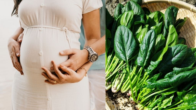 Cải bó xôi bao nhiêu calo? Có tốt không? 4