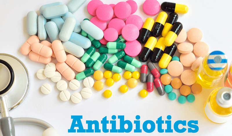 Cái chết đen: Cơn ác mộng kinh hoàng nhất trong lịch sử nhân loại 4