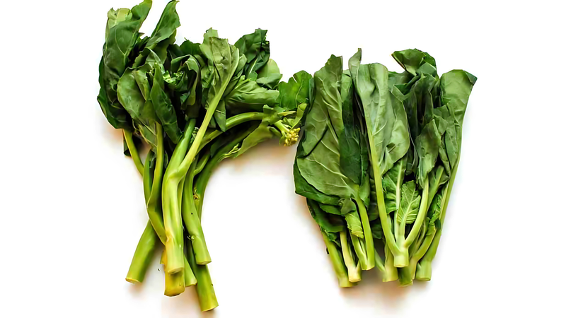 cai-lan-an-co-tot-khong 2