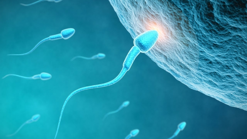 7 lời khuyên của bác sĩ cho nam giới để cải thiện chất lượng tinh trùng 1