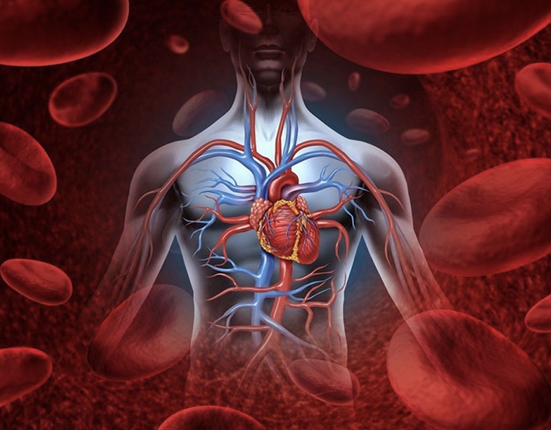 Cải thiện và tăng cường chức năng nhờ viên uống Aktiv Coenzym Q10 1