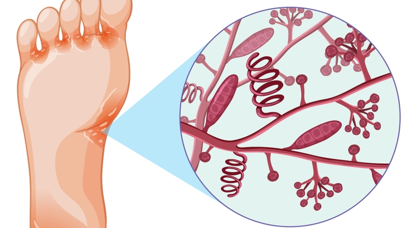 calcrem-co-dung-duoc-cho-ba-bau-khong 1