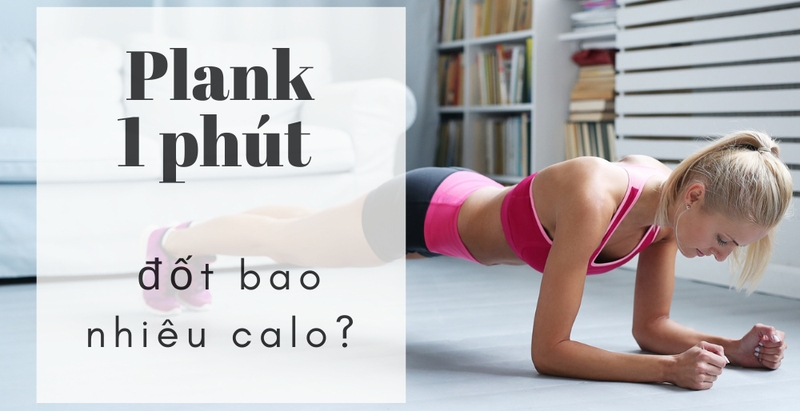 1 phút plank đốt bao nhiêu calo và những điều cần lưu ý khi tập plank 2