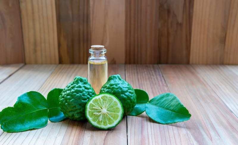 Cam Bergamot: Món quà sức khỏe có hương thơm quyến rũ 1