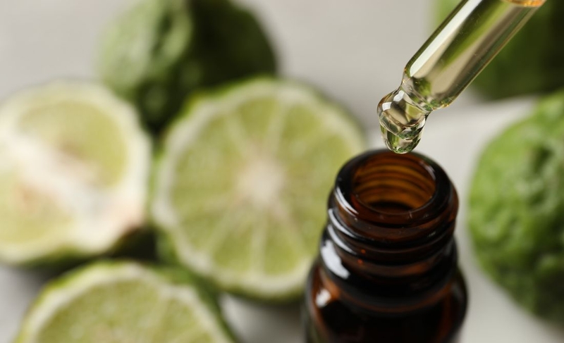 Cam Bergamot: Món quà sức khỏe có hương thơm quyến rũ 4
