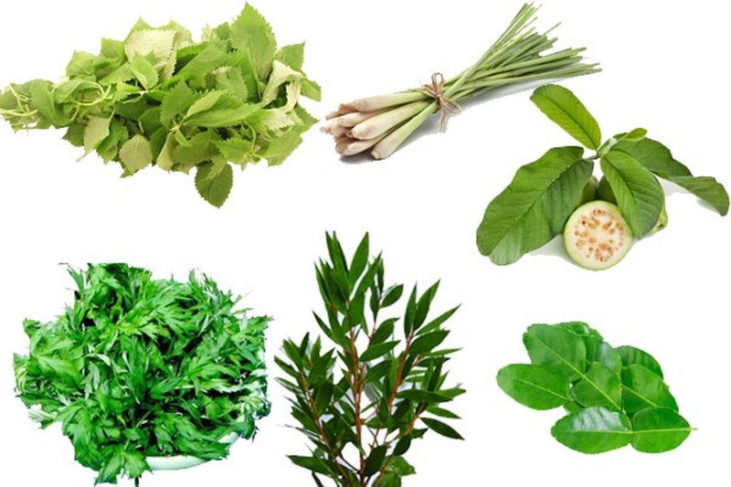 Giải đáp: Cảm cúm xông lá gì thì hiệu quả? 2