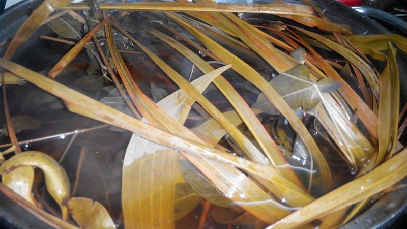 Giải đáp: Cảm cúm xông lá gì thì hiệu quả? 3