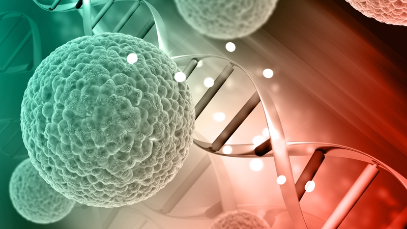 cammic-co-dung-duoc-cho-ba-bau-khong 3