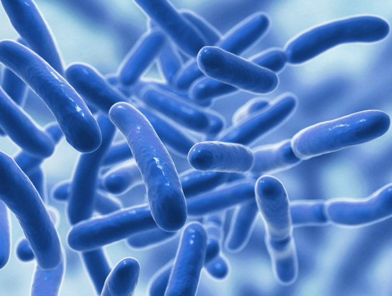 Cân bằng hệ vi sinh đường ruột, giảm rối loạn tiêu hóa với men vi sinh Yunpro DHG Pharma1