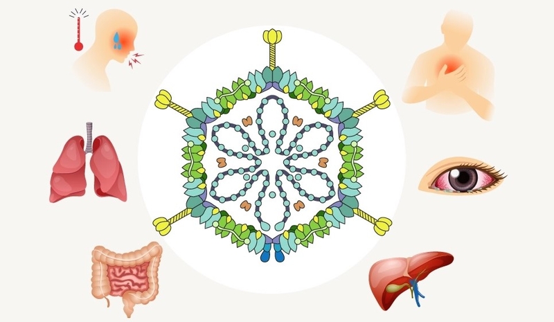 Cần làm những xét nghiệm nào để xác định ca bệnh nhiễm virus Adeno?1