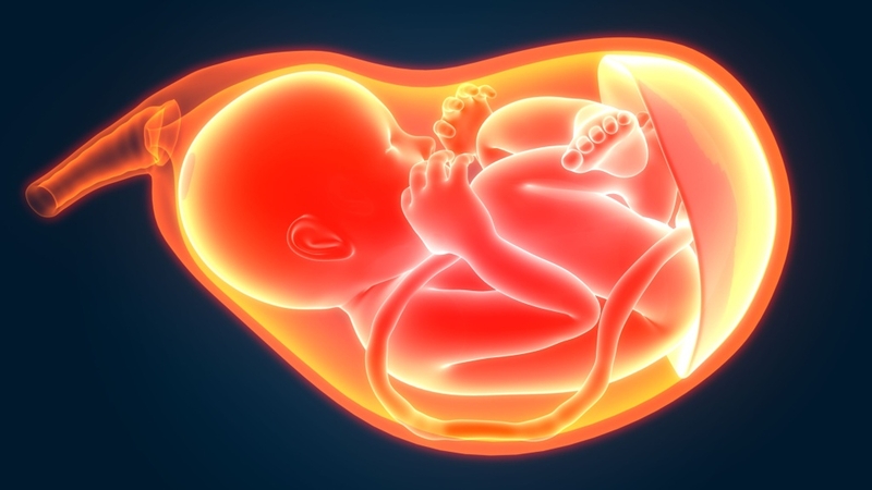 Cạn ối bao lâu thì nguy hiểm: Hiểu biết quan trọng cho mọi bà bầu 2