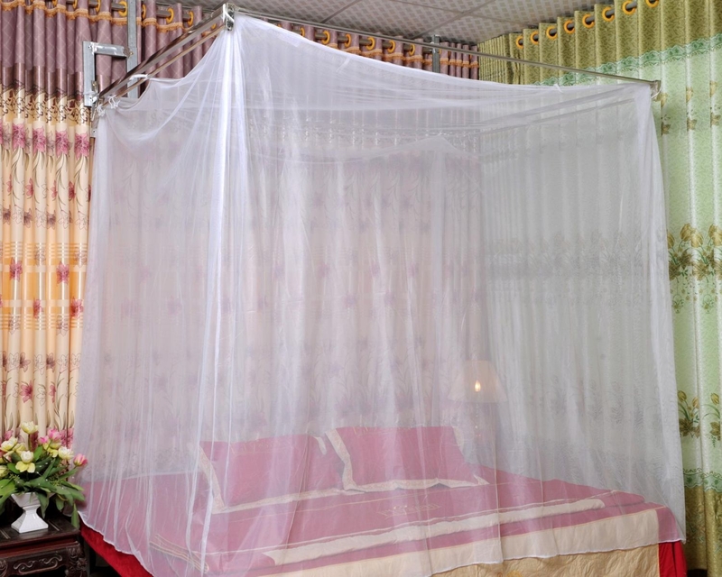 Cẩn thận kiến ba khoang vào mùa mưa, chất độc gây biến chứng 3