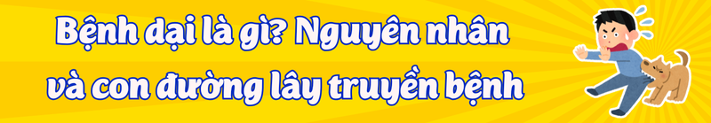Bệnh dại là gì? Nguyên nhân và con đường lây truyền bệnh