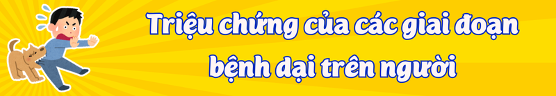 Triệu chứng của các giai đoạn bệnh dại trên người