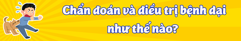 Chẩn đoán và điều trị bệnh dại như thế nào?