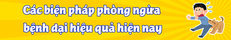 Các biện pháp phòng ngừa bệnh dại 