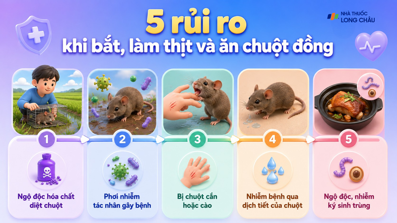 Nhận diện các rủi ro sức khỏe trước khi sử dụng chuột đồng làm thực phẩm