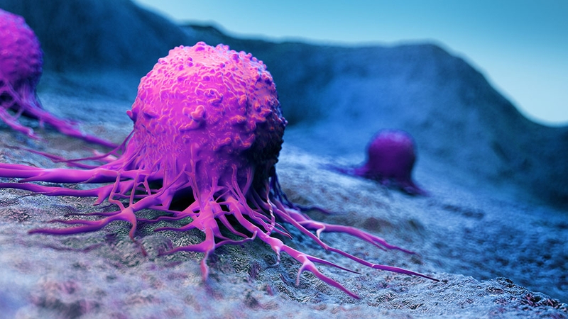 Cancer antigen là gì? Cancer antigen tăng có phải là ung thư không? 2