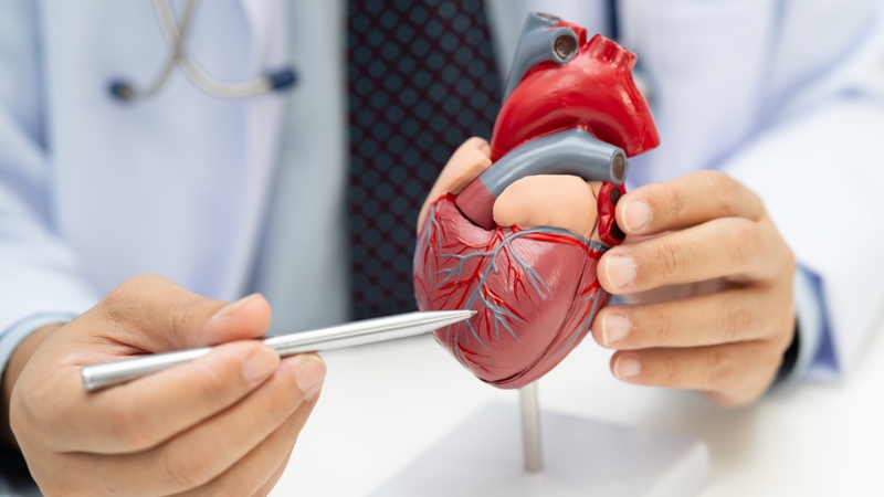 Tác động toàn thân của virus cúm có thể gây ảnh hưởng đáng kể đến hệ tim mạch