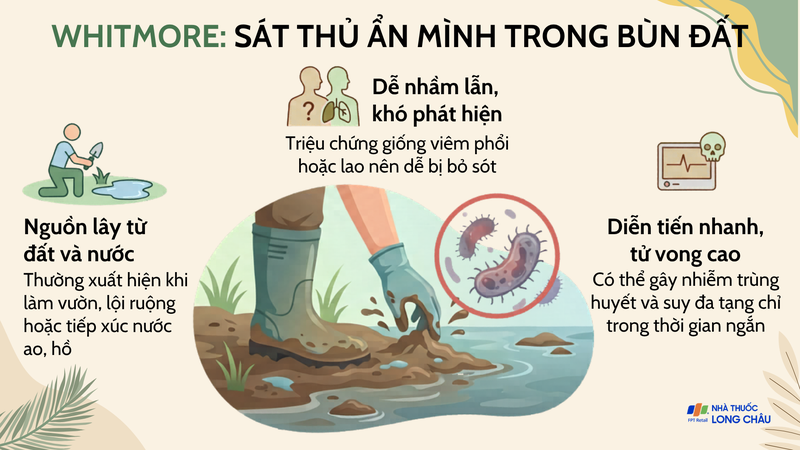 Vi khuẩn gây bệnh Whitmore có thể tồn tại lâu trong đất ẩm và nguồn nước tự nhiên
