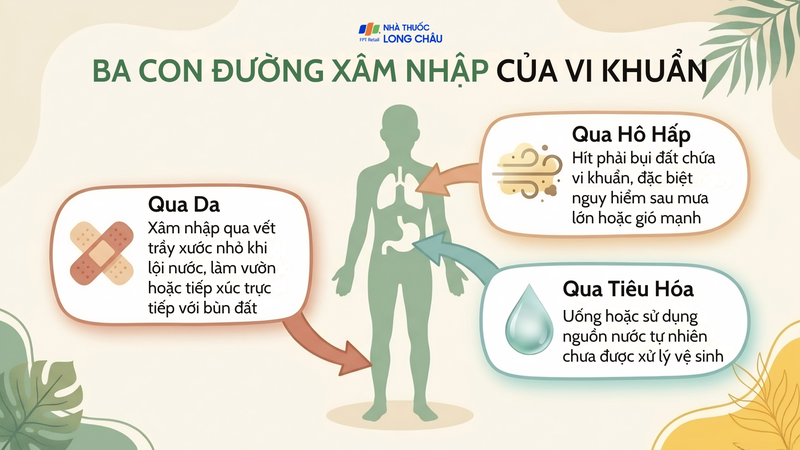 Vi khuẩn có thể xâm nhập vào cơ thể qua nhiều con đường khác nhau