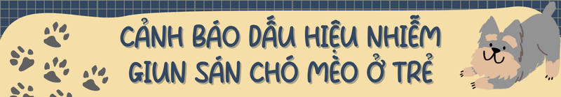 Cách phòng ngừa nhiễm giun sán chó mèo hiệu quả cho trẻ nhỏ