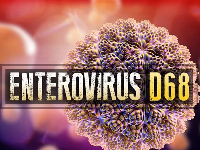 Cảnh báo Enterovirus D68 nguy hiểm đang gia tăng tại Mỹ1