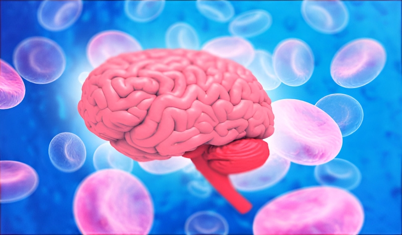 Cảnh báo về dấu hiệu xuất huyết não mà bạn không nên bỏ qua 1