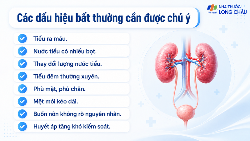Triệu chứng bệnh thận mạn giai đoạn đầu thường âm thầm, khó nhận biết
