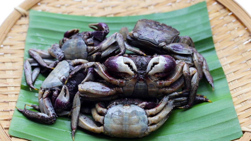 Nguyên liệu tươi ngon quyết định hương vị và giá trị dinh dưỡng của canh cua