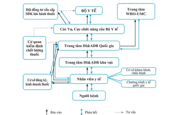Cảnh giác dược là gì? Một số thuật ngữ liên quan đến cảnh giác dược mà bạn nên biết