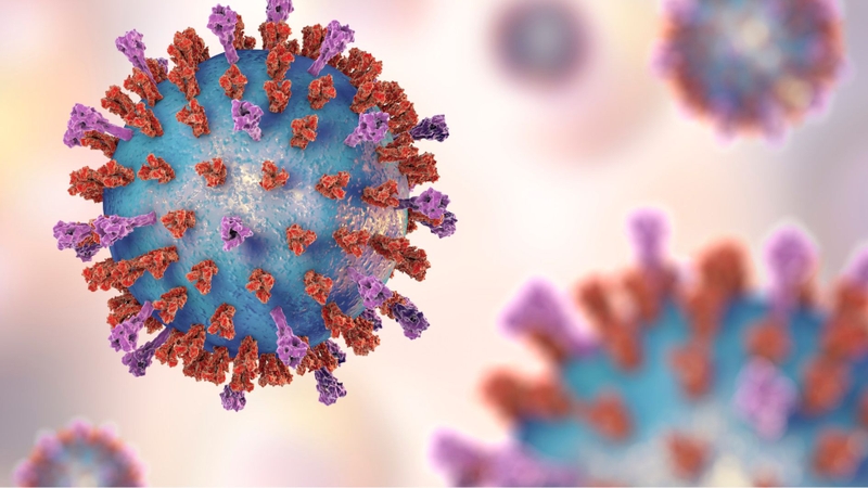 Virus RSV gây bệnh viêm đường hô hấp