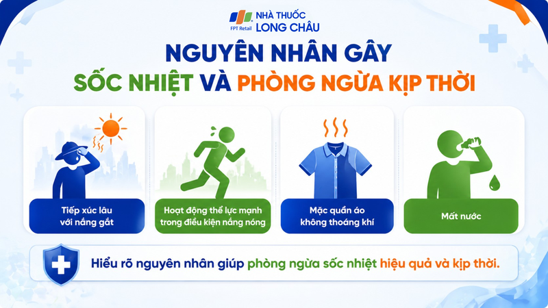 Các nguyên nhân chính gây sốc nhiệt bao gồm nắng gắt và mất nước