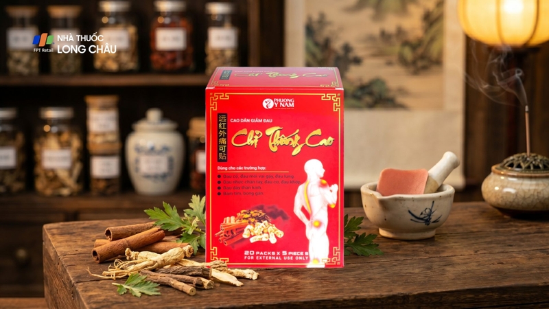 Cao dán giảm đau Chỉ Thống Cao (20 gói)