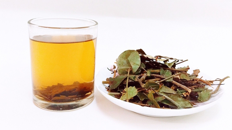 Cao huyết áp uống chè vằng được không 03