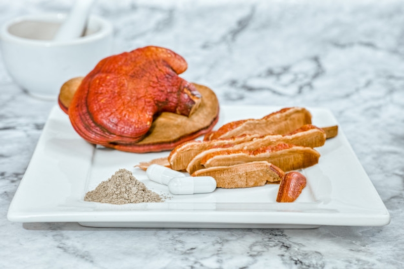 Nấm linh chi đỏ giúp chống ung thư