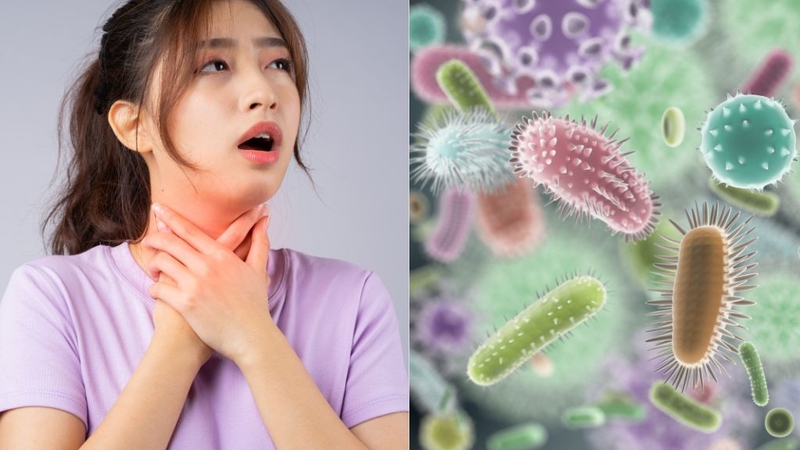 Cắt amidan có hết hôi miệng không? Lưu ý gì khi thực hiện? 2