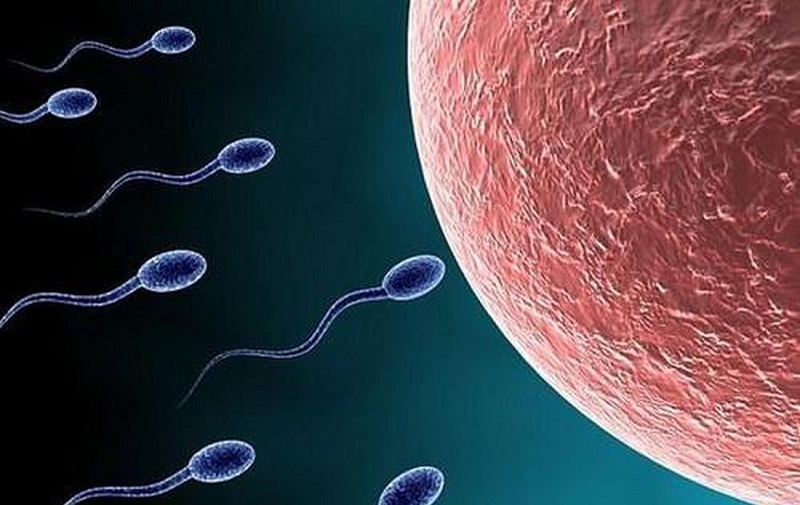 Cắt bỏ ống dẫn trứng là gì? Các phương pháp loại bỏ ống dẫn trứng 4