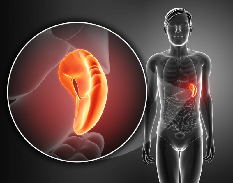 Cắt lá lách có sinh con được không? Các trường hợp phải cắt bỏ lá lách 2
