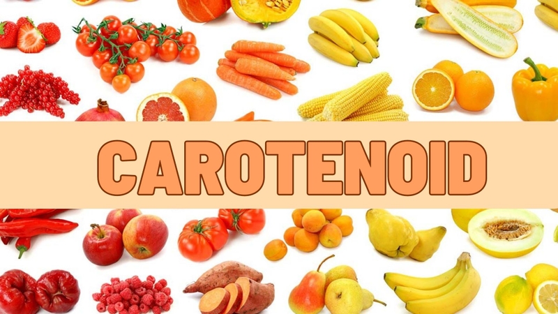 Carotenoid là gì? Carotenoid có trong thực phẩm nào? 1