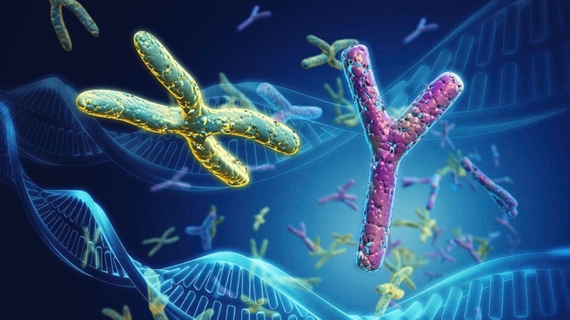 cau-tao-cua-tinh-trung-nhung-dieu-can-biet-ve-tinh-trung 2