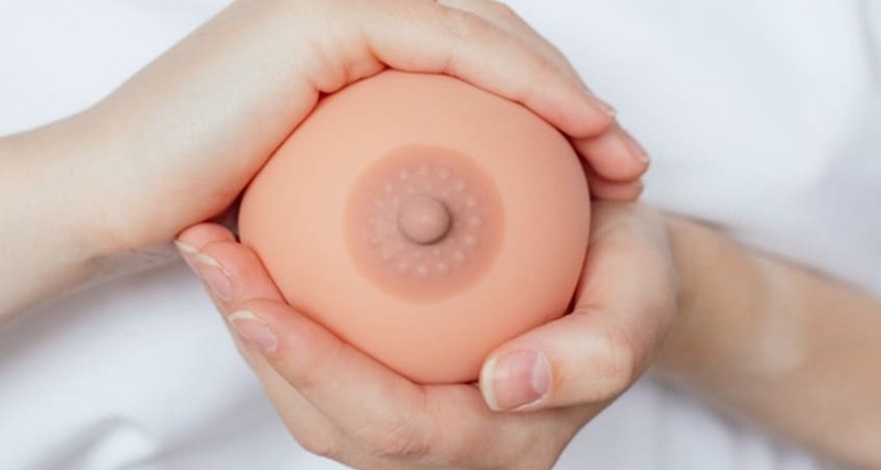 Cấu tạo của vú và những lưu ý về vú không phải ai cũng hiểu rõ 1