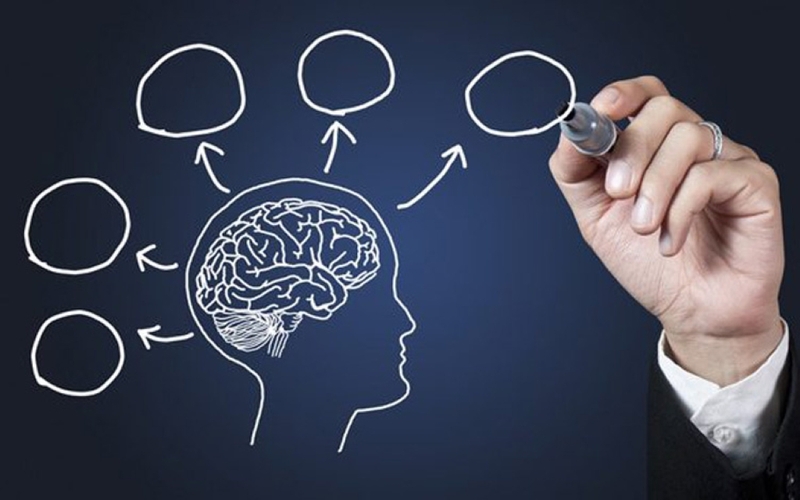 Chức năng của đại não