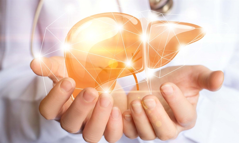 Cây bồ công anh có tác dụng gì? 2