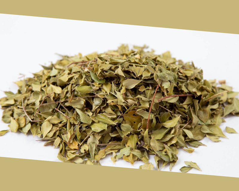 cay-buchu-va-nhung-cong-dung-tuyet-voi-ban-co-biet 2.png