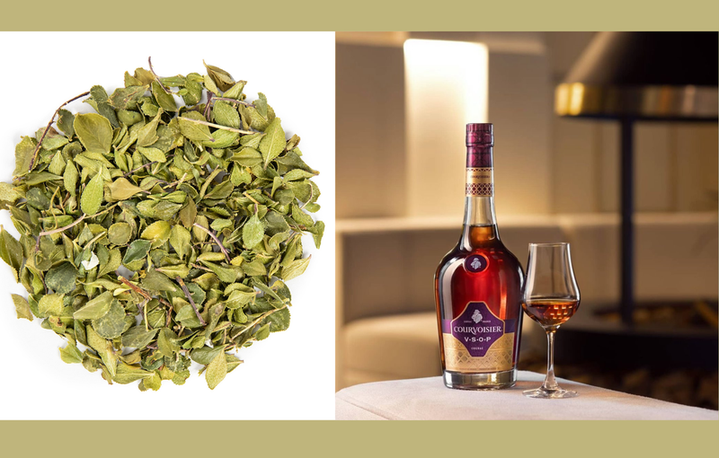 cay-buchu-va-nhung-cong-dung-tuyet-voi-ban-co-biet 3.png