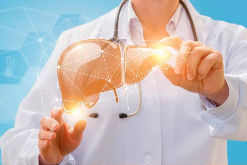 Cây cam thảo bắc: Tác dụng và lưu ý cần biết