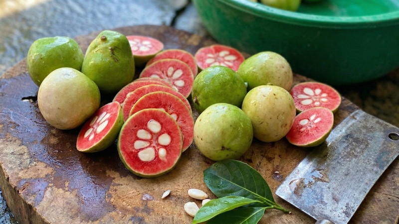 Quả của cây chay ruột đỏ có ruột đỏ, vị đậm