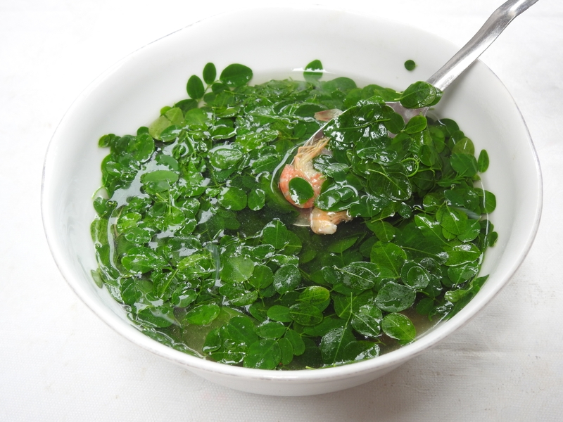 Cây chùm bao uống nhiều có tốt không? 2